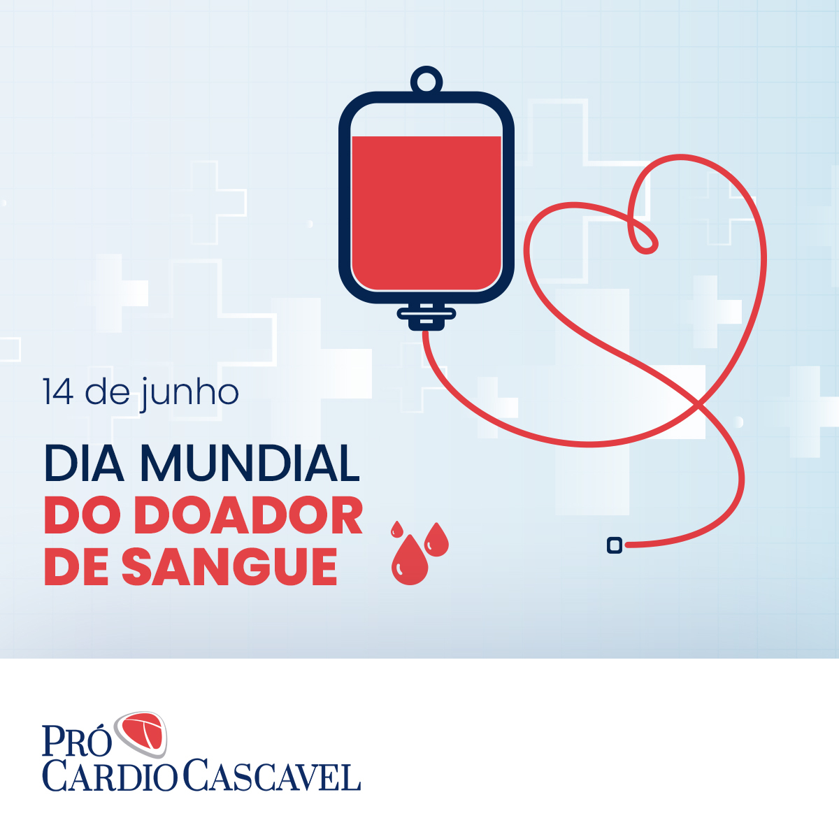 Dia Mundial do Doador de Sangue é celebrado em 14 de junho